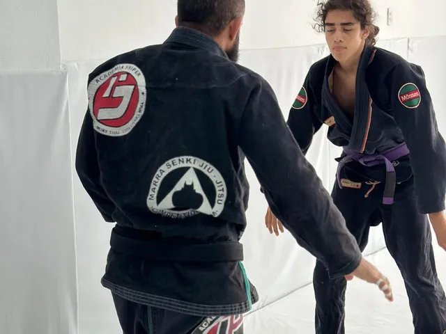 Jiu-Jitsu